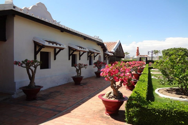 Ảnh slide minh họa 3